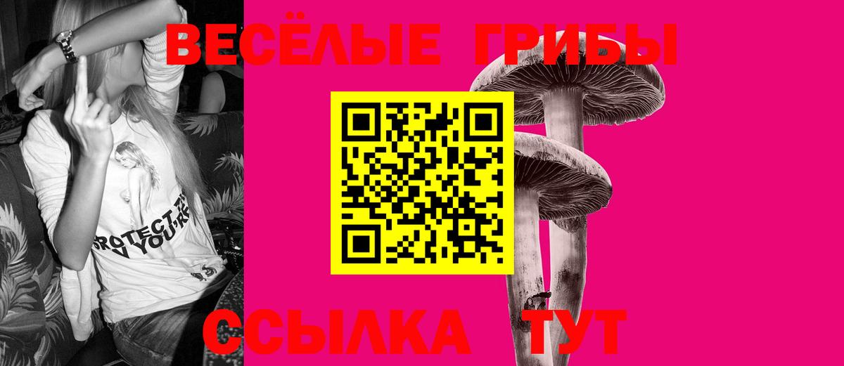 Галлюциногенные грибы Magic Shrooms  Галлюциногенные грибы Cubensis  где купить   Краснотурьинск  Вход с VPN 