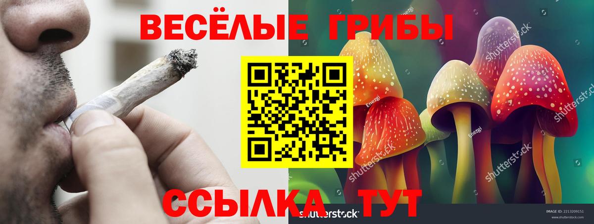Галлюциногенные грибы ЛСД Краснотурьинск
